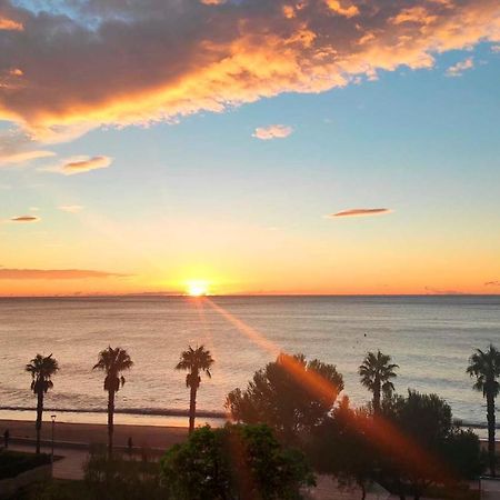 Sunrise Estudio Zebra, Con Vistas Jardin Y Mar Miami Playa Esterno foto